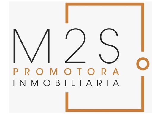 M2S PROMOTORA INMOBILIARIA SRL