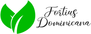 FORTIUS DOMINICANA FOD SRL